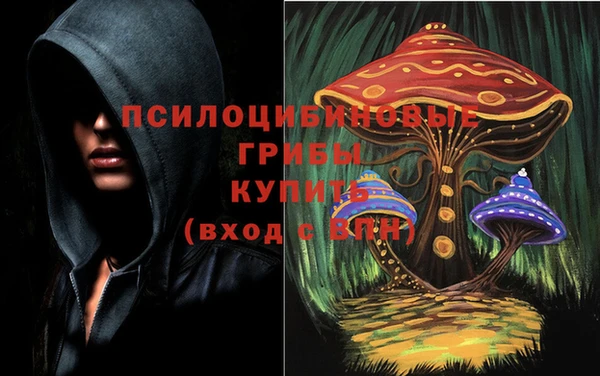 соль ск Новокубанск