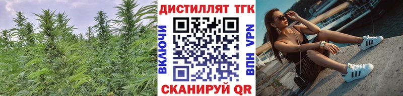 OMG ONION  продажа наркотиков  Подпорожье  ТГК THC oil 